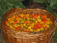 calendula flowers in a basket